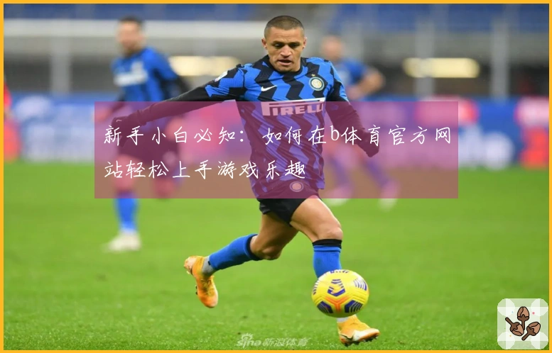 新手小白必知：如何在b体育官方网站轻松上手游戏乐趣