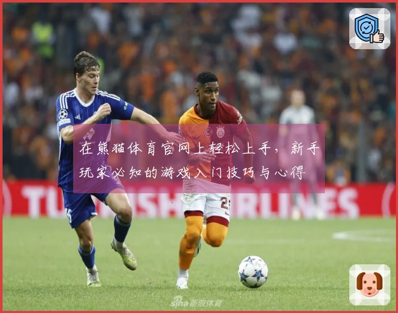 在熊猫体育官网上轻松上手，新手玩家必知的游戏入门技巧与心得