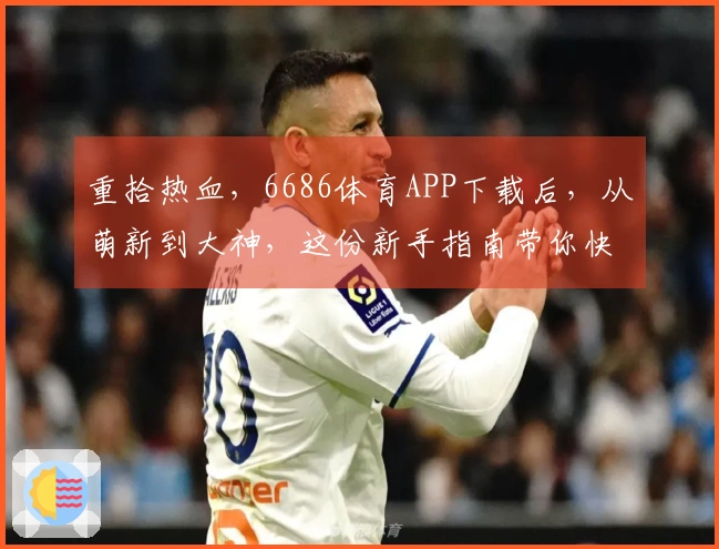 重拾热血，6686体育APP下载后，从萌新到大神，这份新手指南带你快速上手