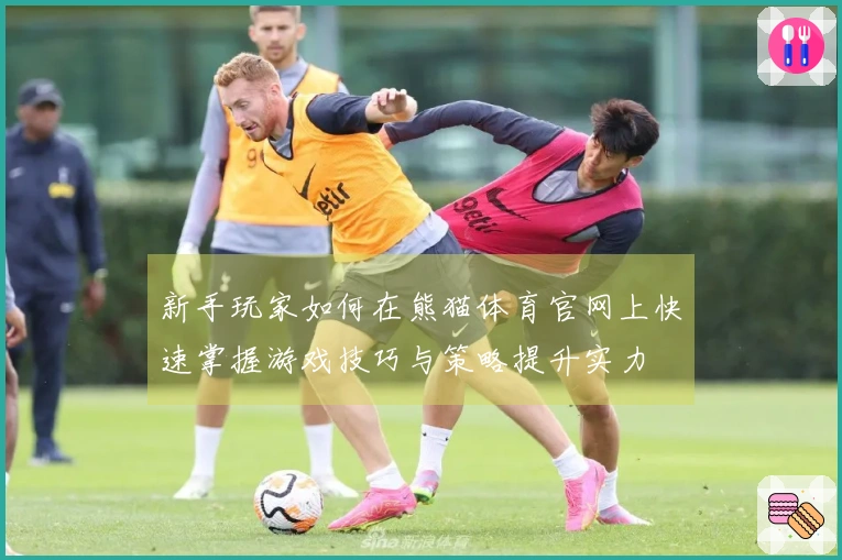 新手玩家如何在熊猫体育官网上快速掌握游戏技巧与策略提升实力