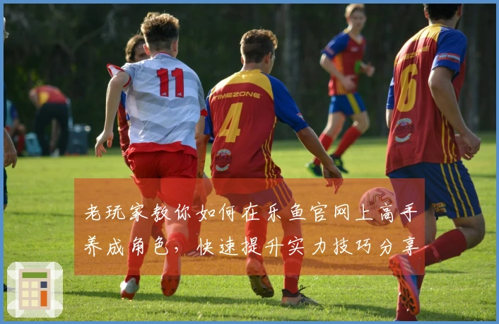 老玩家教你如何在乐鱼官网上高手养成角色，快速提升实力技巧分享