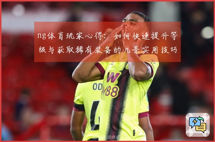 ng体育玩家心得：如何快速提升等级与获取稀有装备的几条实用技巧