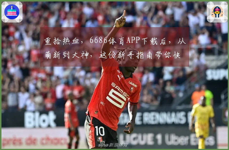 重拾热血，6686体育APP下载后，从萌新到大神，这份新手指南带你快速上手